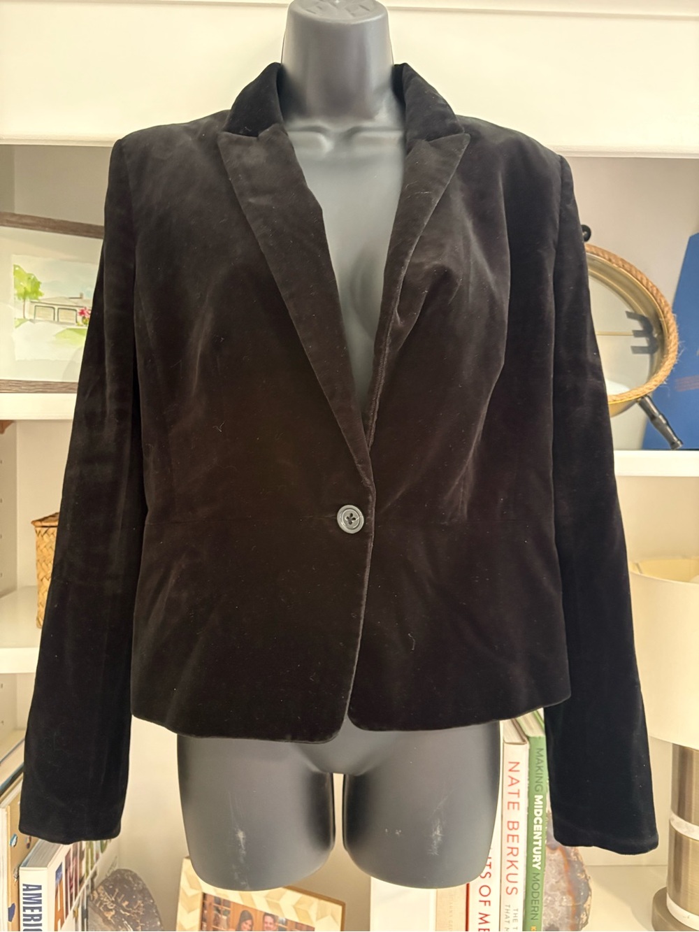 Banana Republic Black Velvet Single-Button Blazer